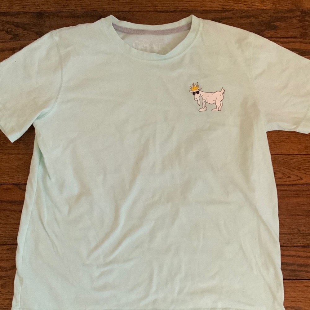 Kids GOAT Mint Green T-Shirt with Fun Graphic size xl